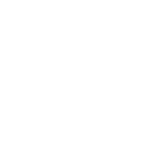 RARA joyeria